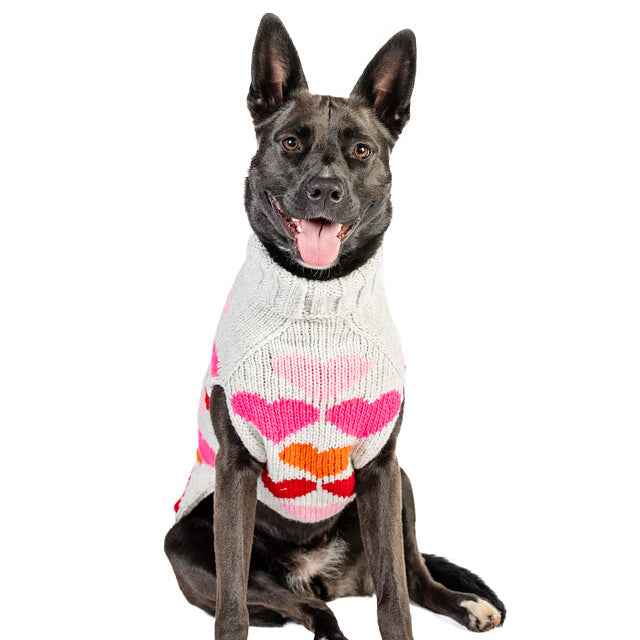 Chilly Dog Puppy Love Knit Wool Dog Sweater