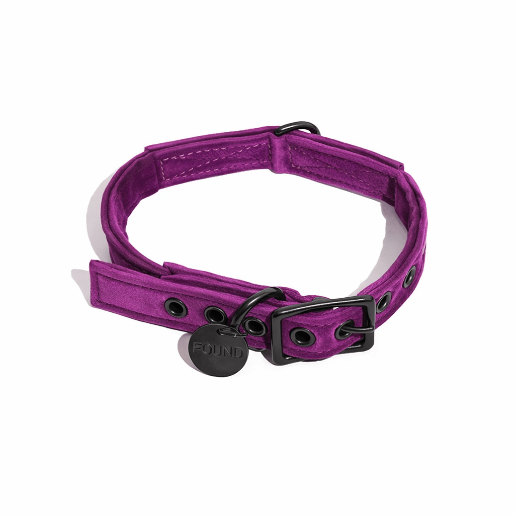 Purple Washable Velvet Cat & Dog Collar – Matte Black Hardware