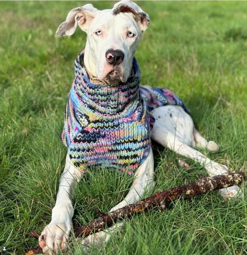 Chilly Dog Purple Woodstock Knit Wool Dog Sweater