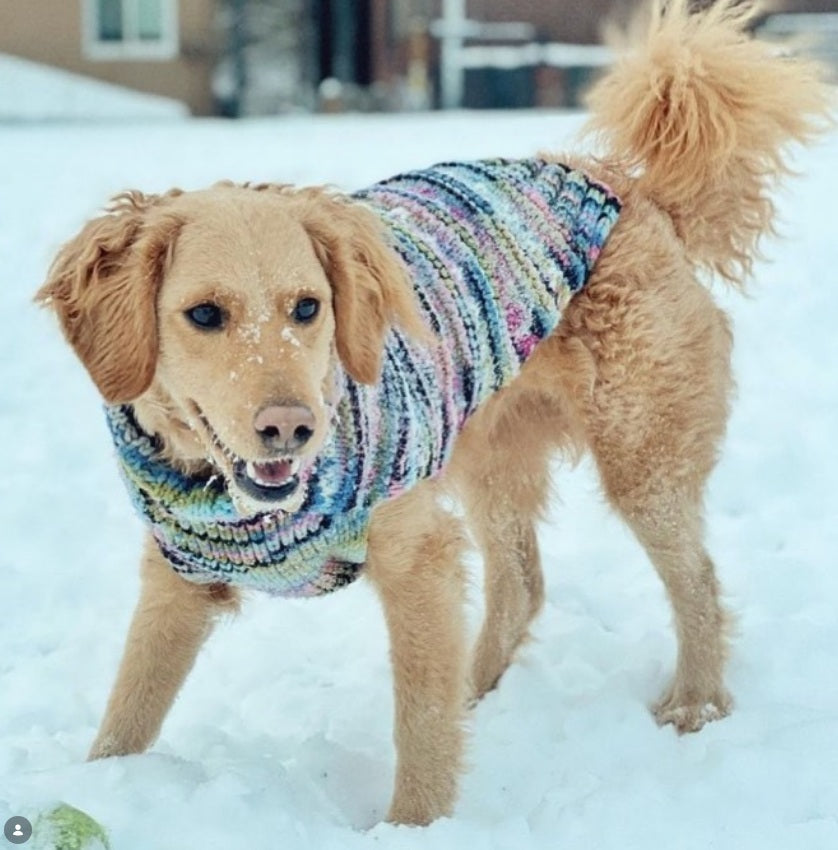 Chilly Dog Purple Woodstock Knit Wool Dog Sweater