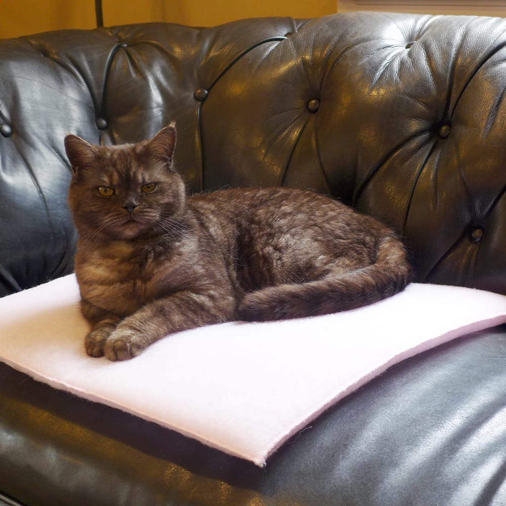 PurrPadd Cat Bed premium pet product