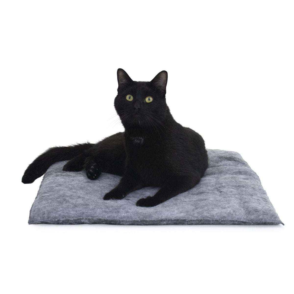 PurrPadd Cat Bed premium pet product