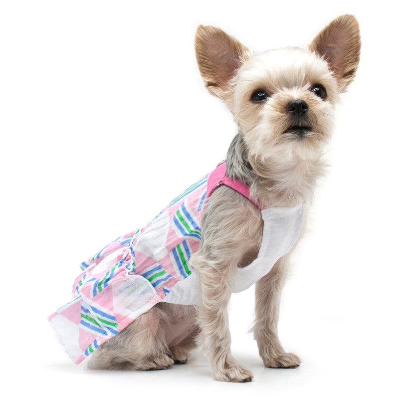 DOGO Puzzle Fun Dog Dress