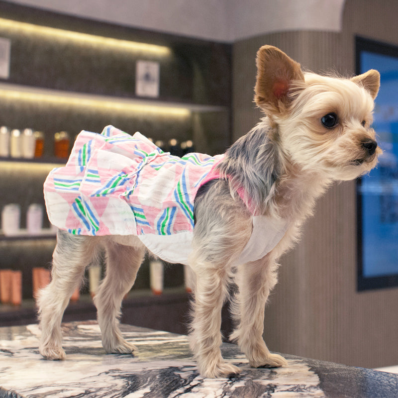 DOGO Puzzle Fun Dog Dress