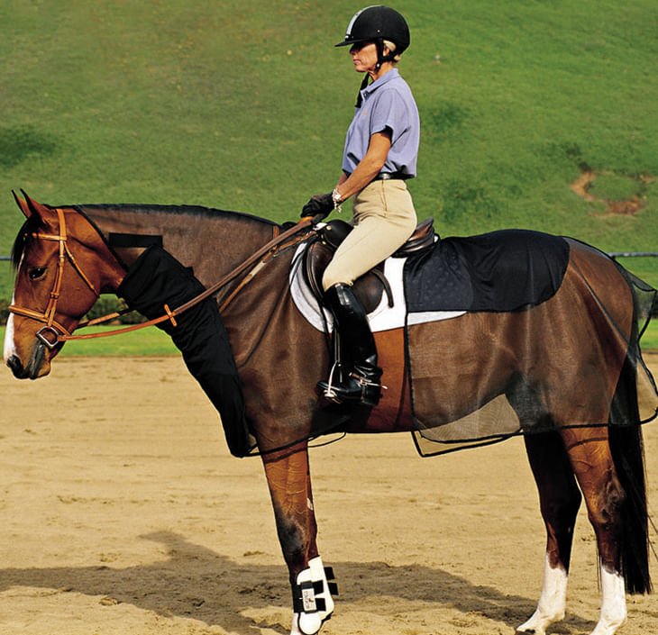 Cashel – Quiet-Ride Bug Armor for Horses - 2 Piece Riding Fly & Insect Protection Set