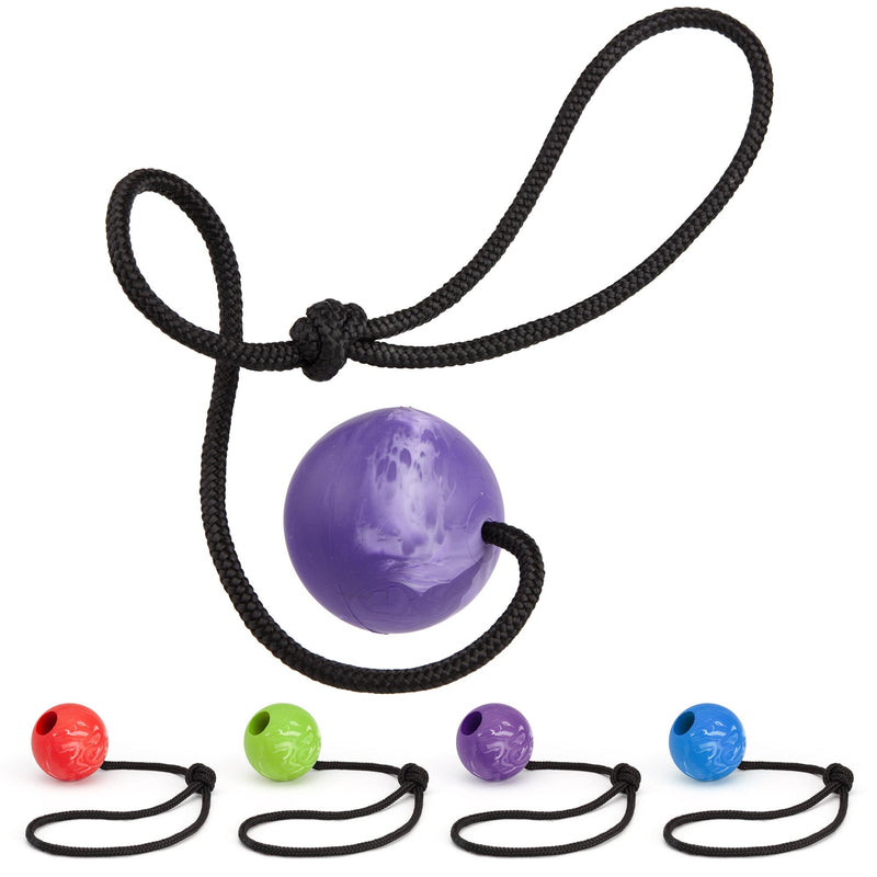 Dogline Rubber Euro Ball with Rope