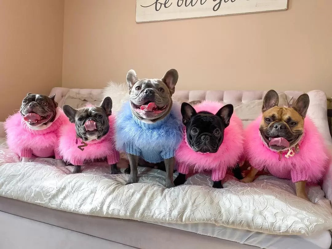 Haute Couture Feathered Luxury Pet Sweater