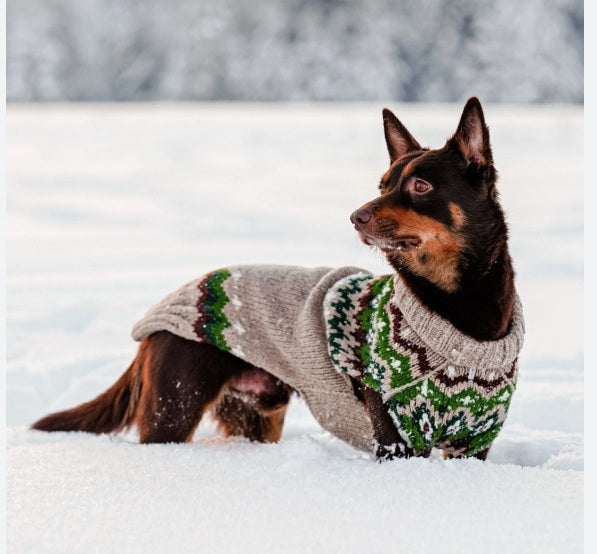 Chilly Dog Ragg Wool Fair Isle Dog Sweater