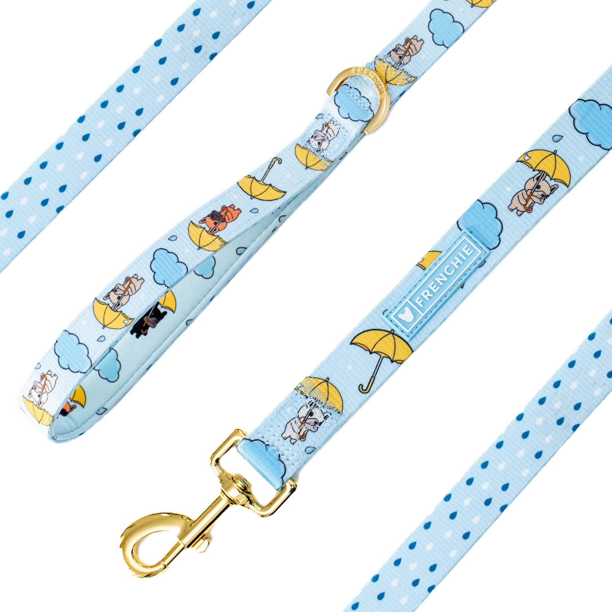 Frenchie Comfort Leash - Its Raining Frenchies