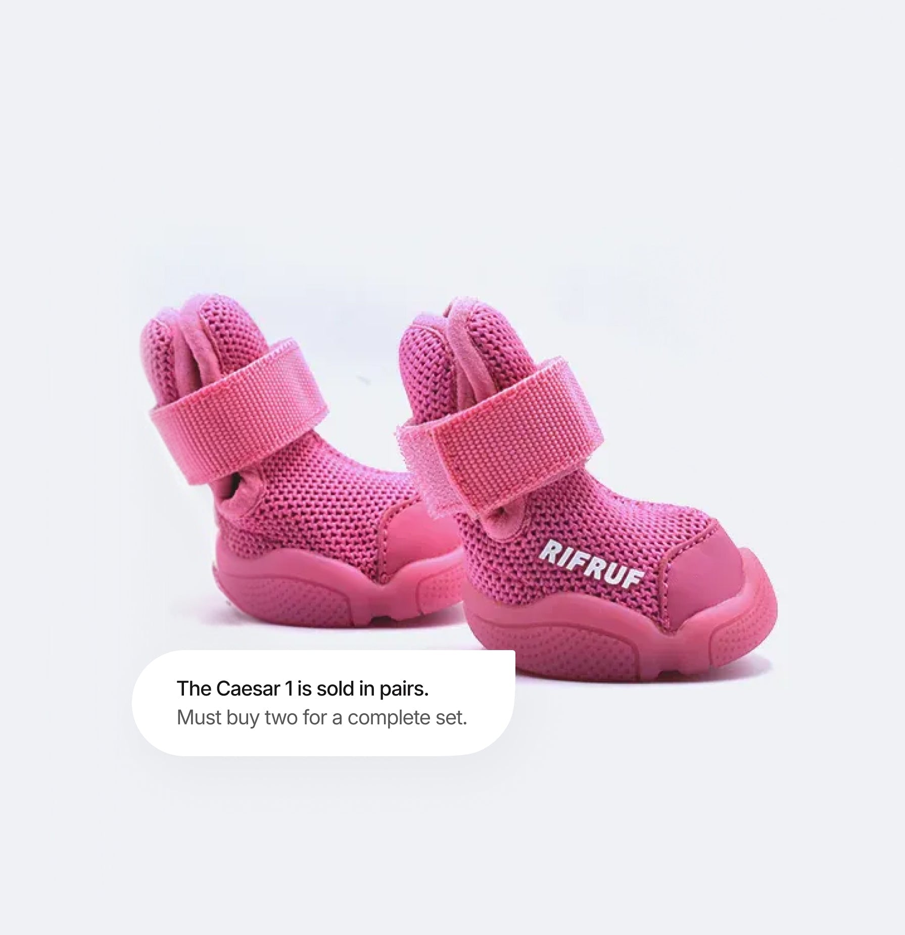 RIFRUF Caesar 1 Dog Sneakers Aqua