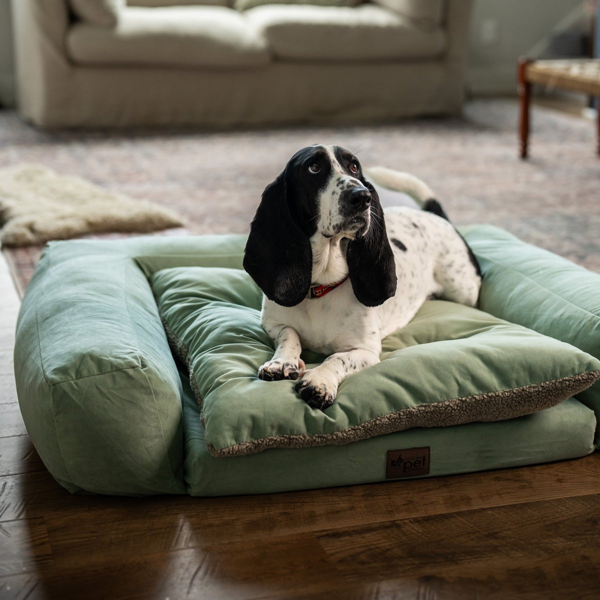 Rectangle Orthopedic Foam Pet Couch premium pet product