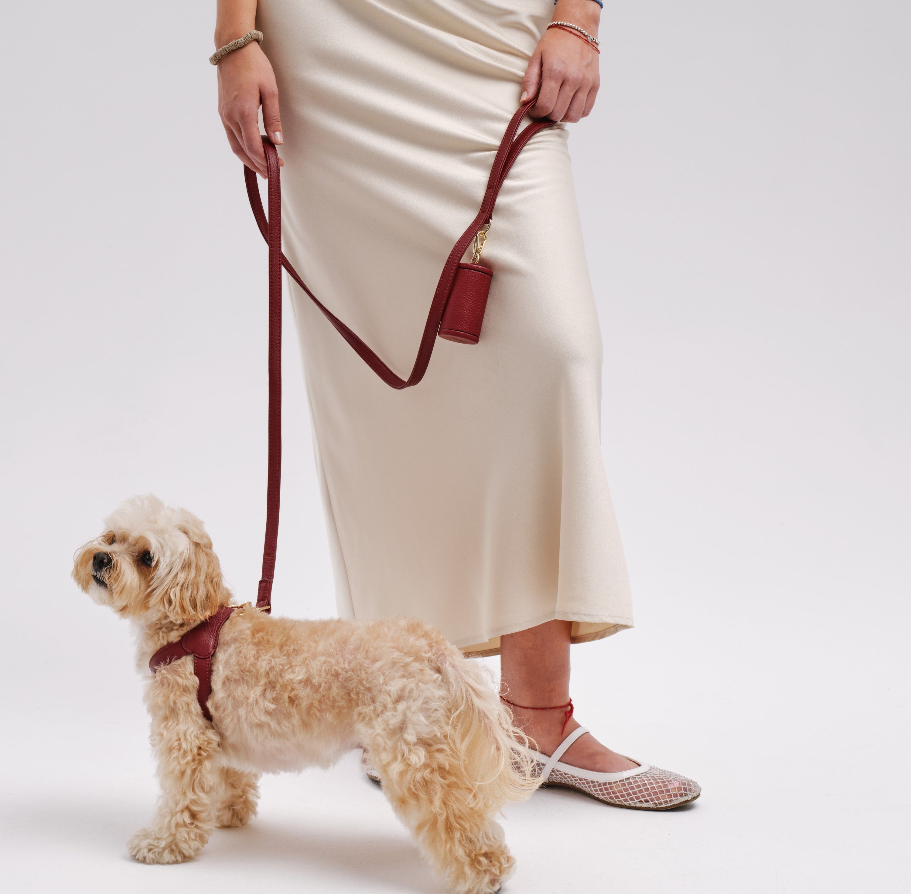 Dog Leash