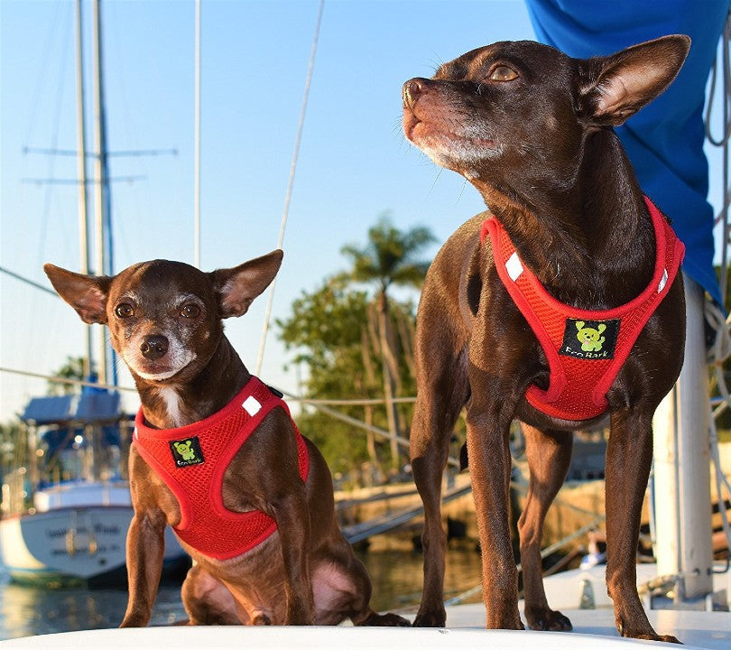 EcoBark – Cherry Red Reflective Step-In Dog Harness