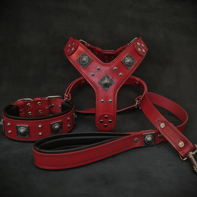 Bestia Dog Gear "EROS" BIG dog SET- Harness - collar - lead. Red Genuine Leather Red pet supplies