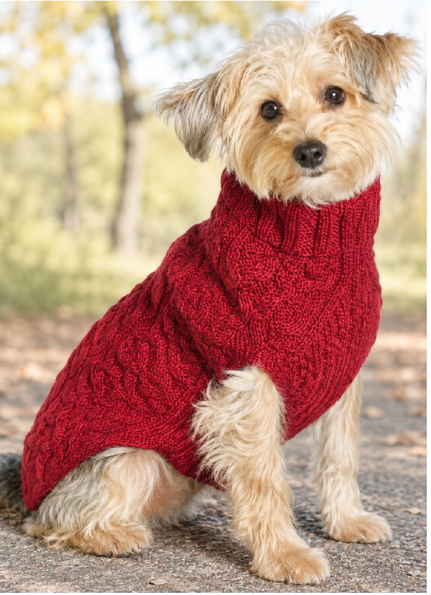 Chilly Dog Red Cable Knit Wool Dog Sweater