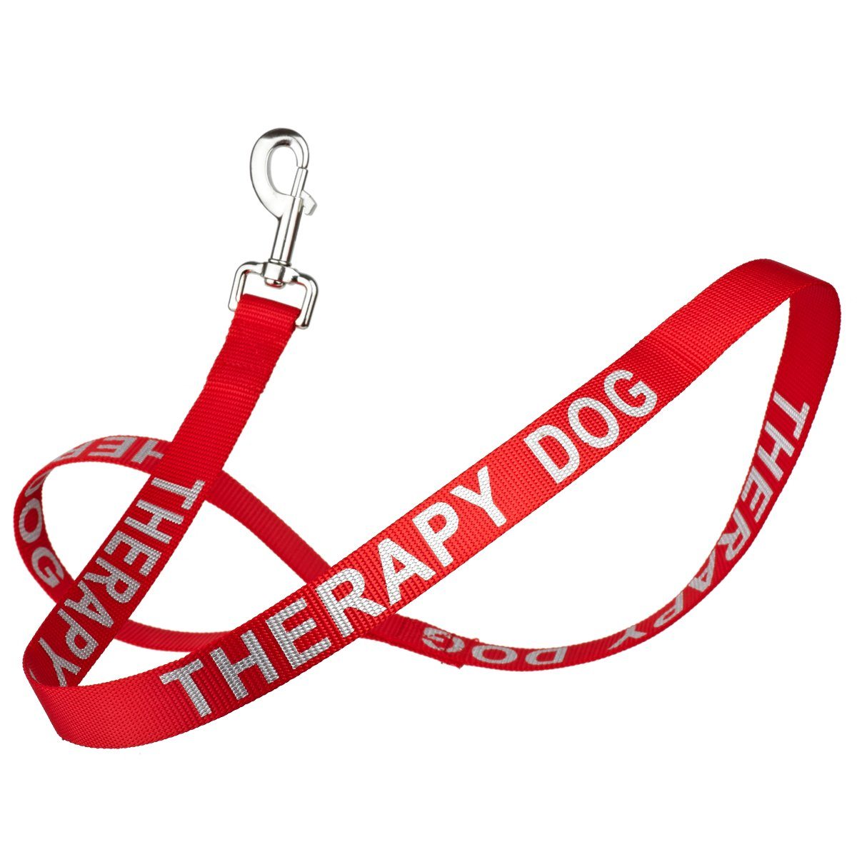 Dogline Reflective Nylon Dog Leash