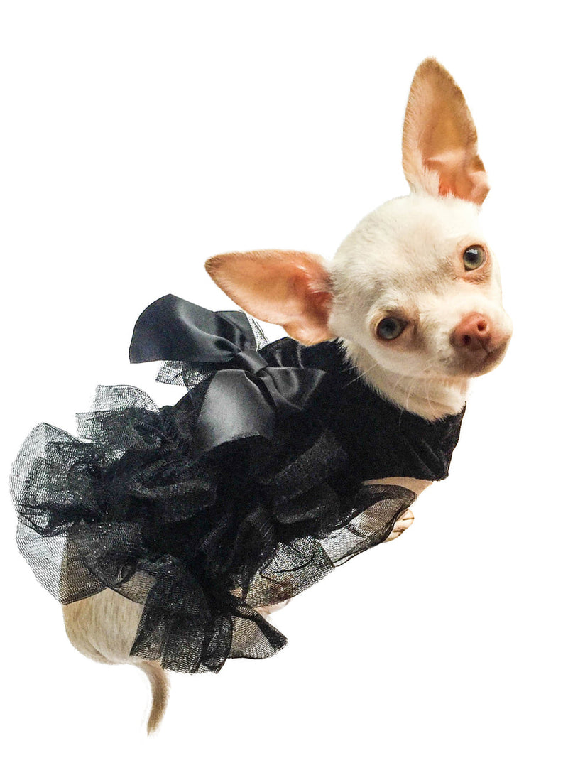 Red Carpet Ruffle Dress, Black