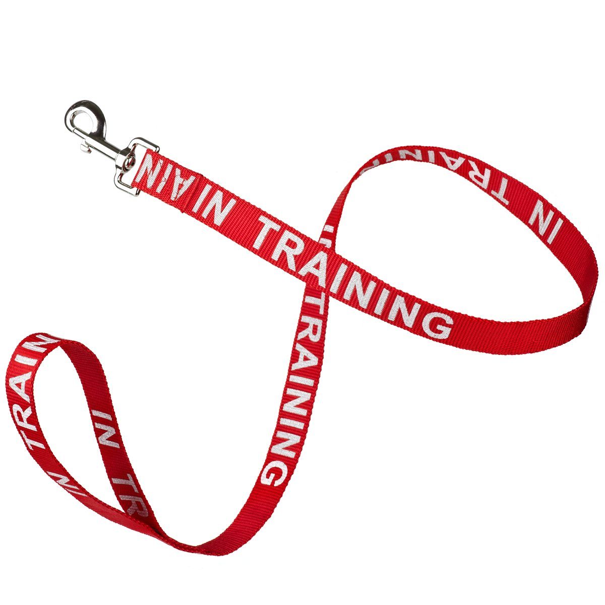 Dogline Reflective Nylon Dog Leash