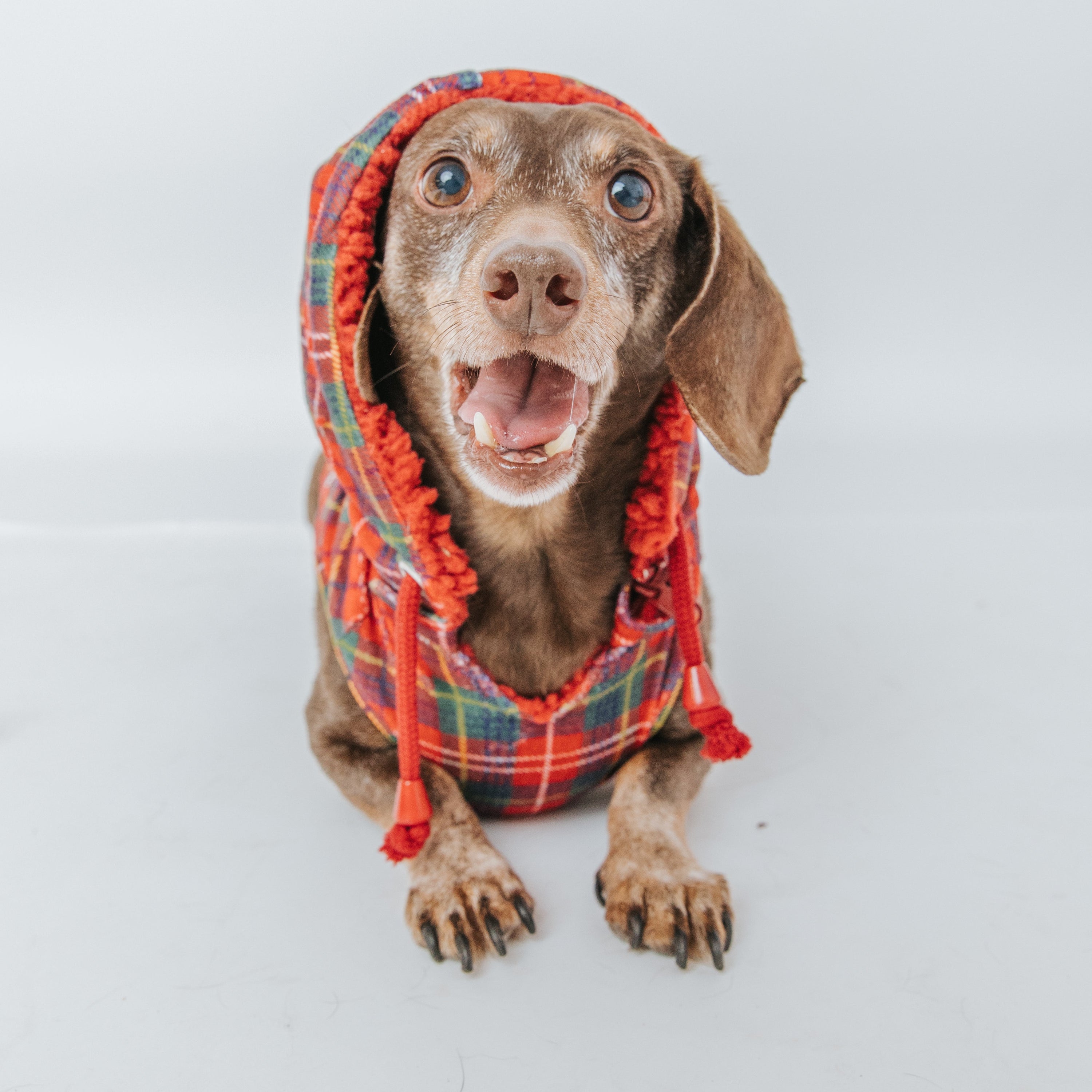 Dog Reversible Sherpa Jacket - Deck the Paws