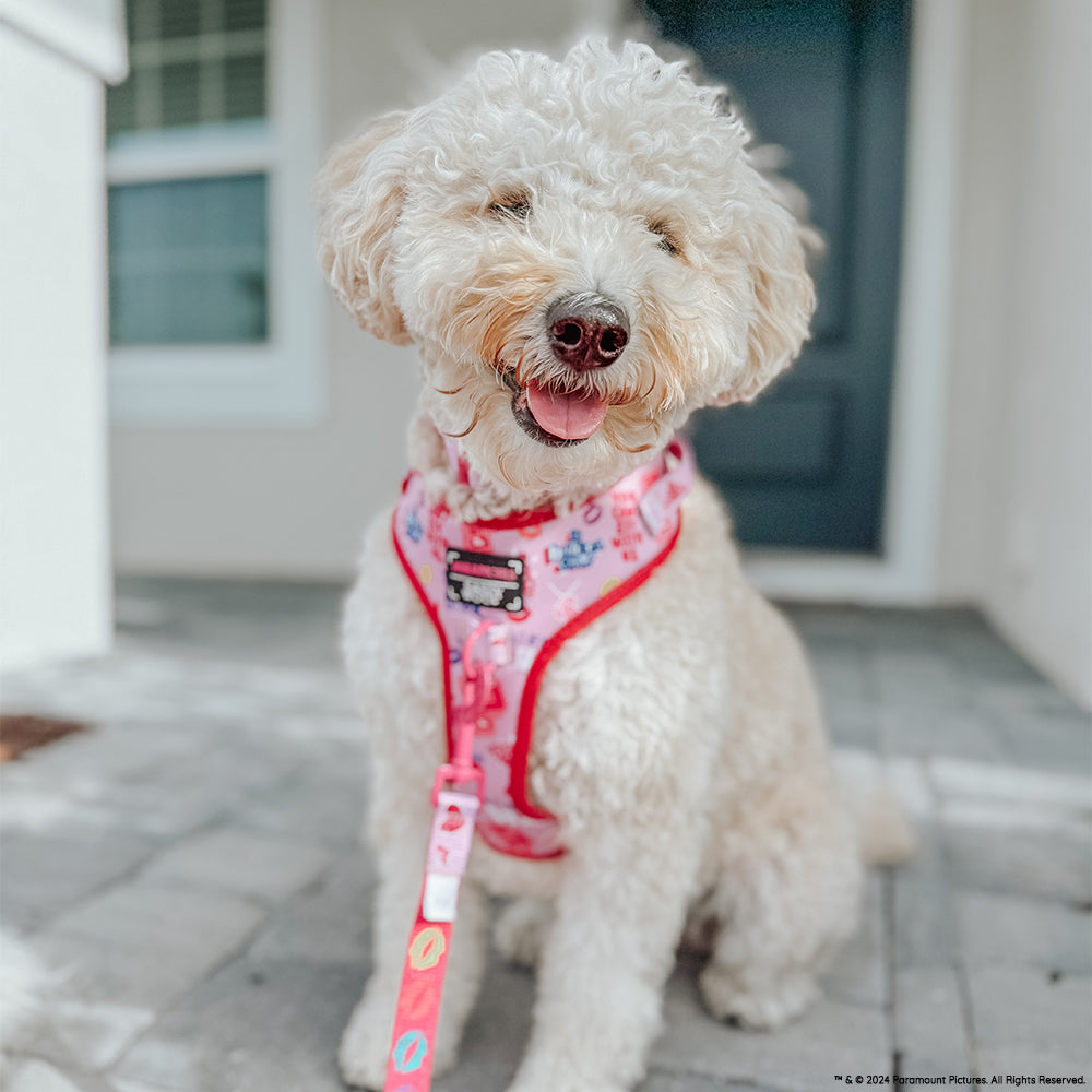 Dog Adjustable Harness - Mean Girls™