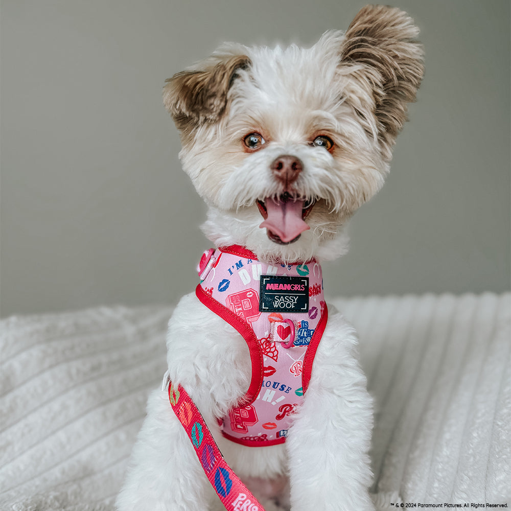 Dog Adjustable Harness - Mean Girls™