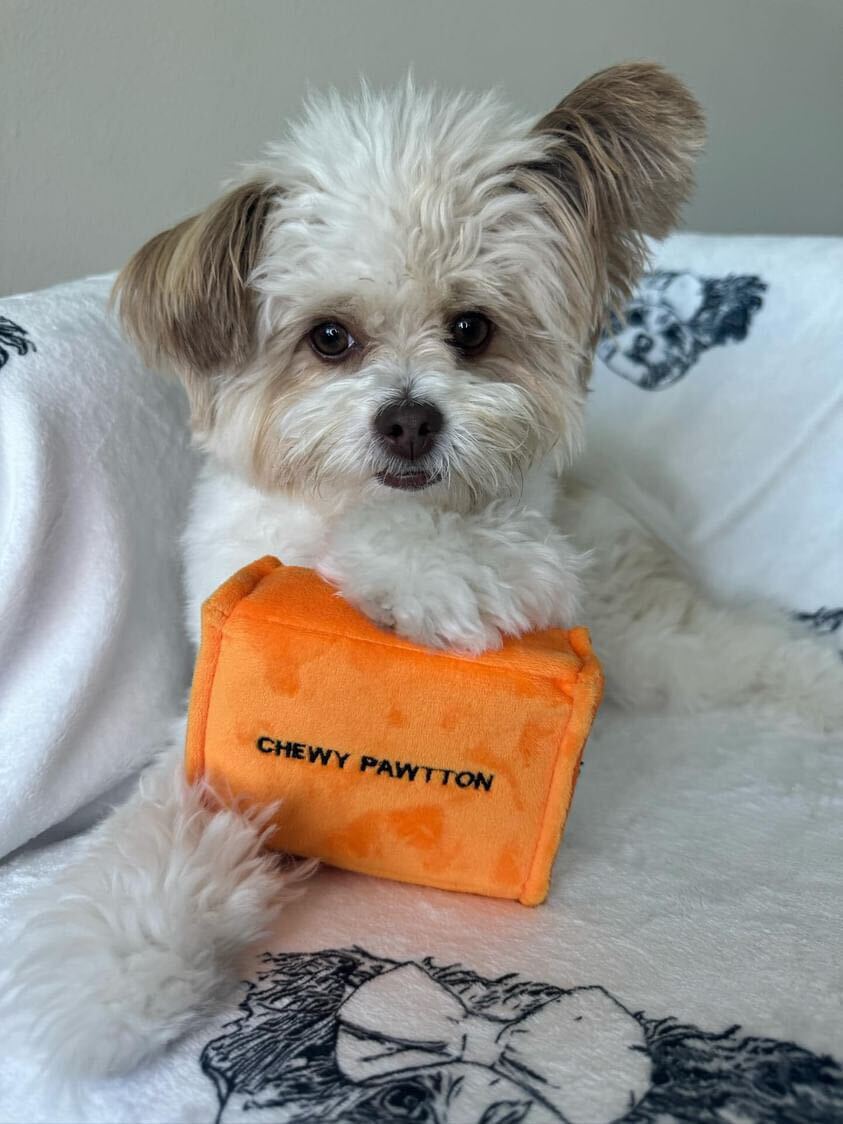 Pawty Chewy Pawtton Designer Plush Dog Toy