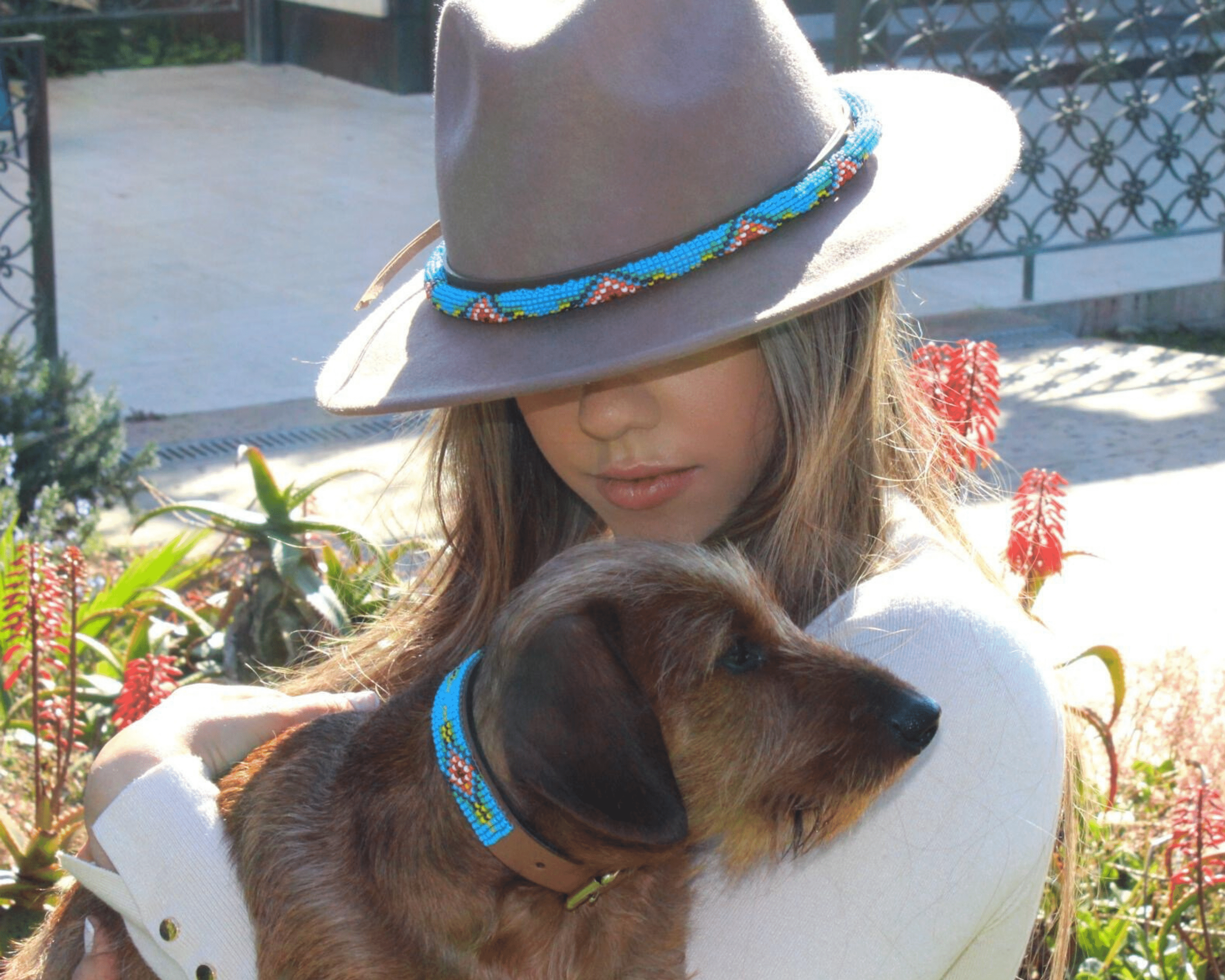 Blue Vogue Sambboho dog collar