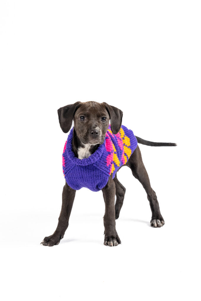 Flower Power Dog Sweater