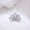 Hello Doggie Tiara Dog Barrette