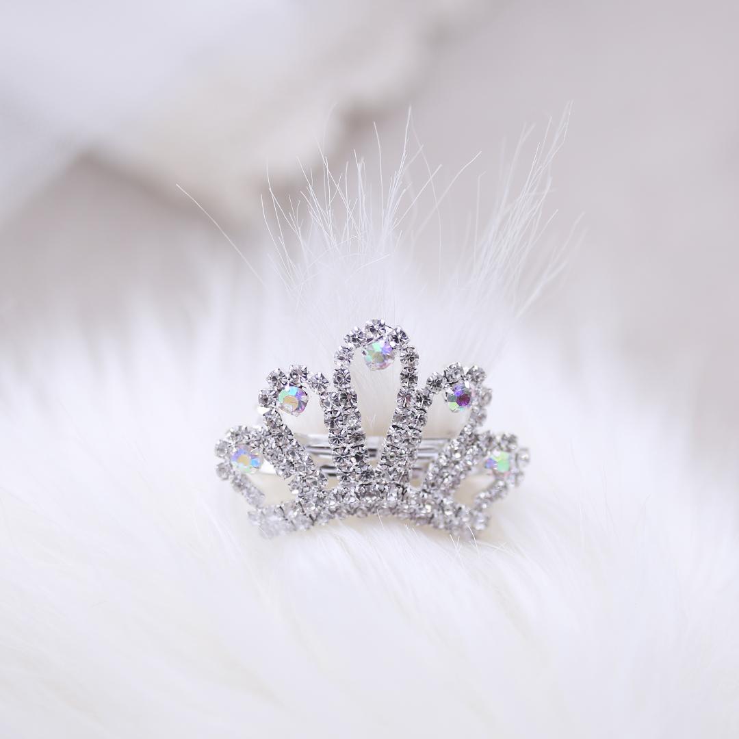 Hello Doggie Tiara Dog Barrette