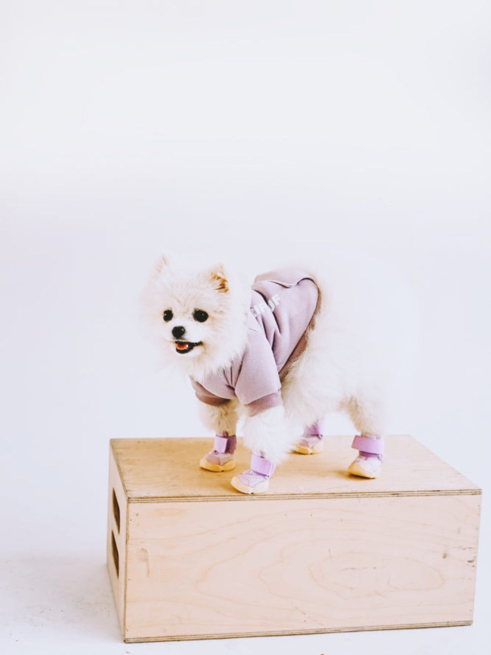 RIFRUF Caesar 1 Dog Sneakers Bone