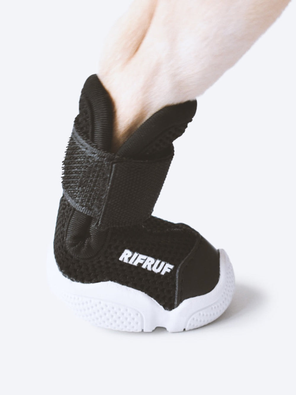 RIFRUF Caesar 1 Dog Sneakers Bone