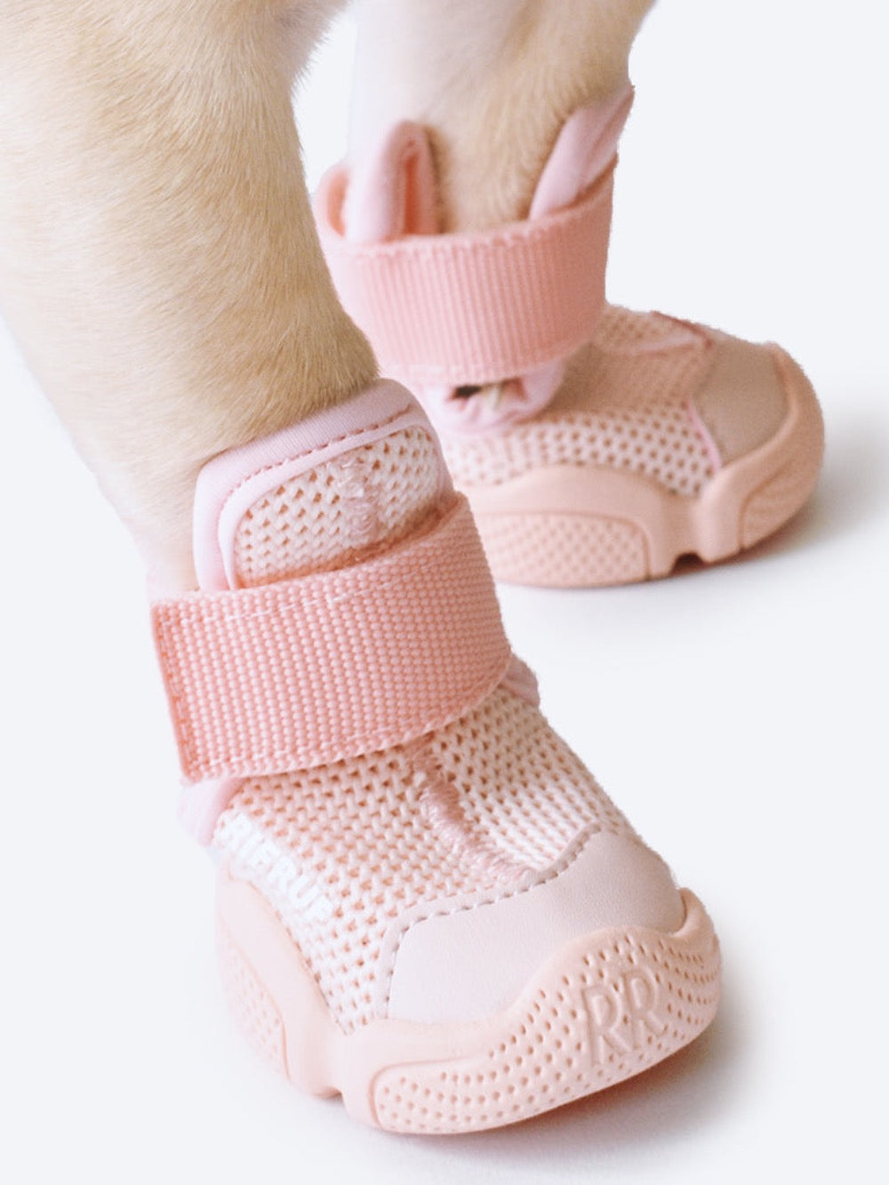 RIFRUF Caesar 1 Dog Sneakers Bone