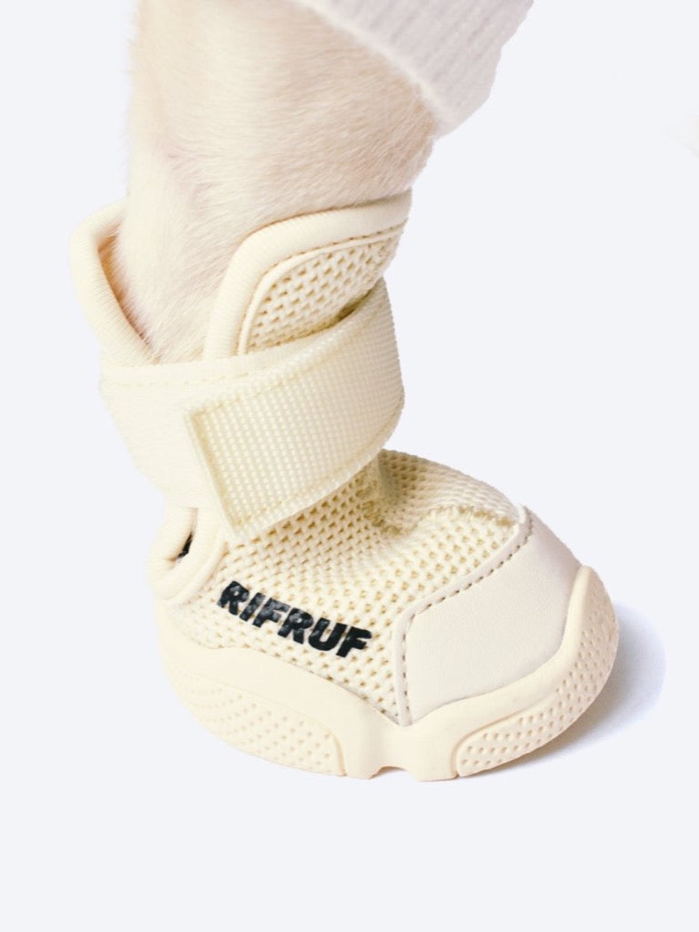 RIFRUF Caesar 1 Dog Sneakers Black