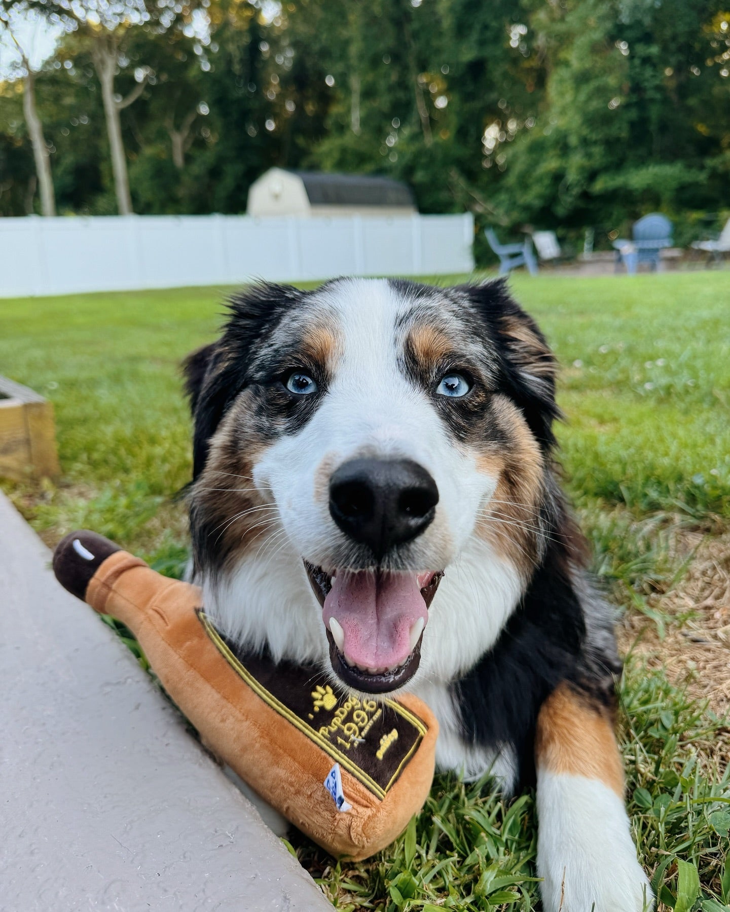 2003 TEQUILA PLUSH DOG TOY