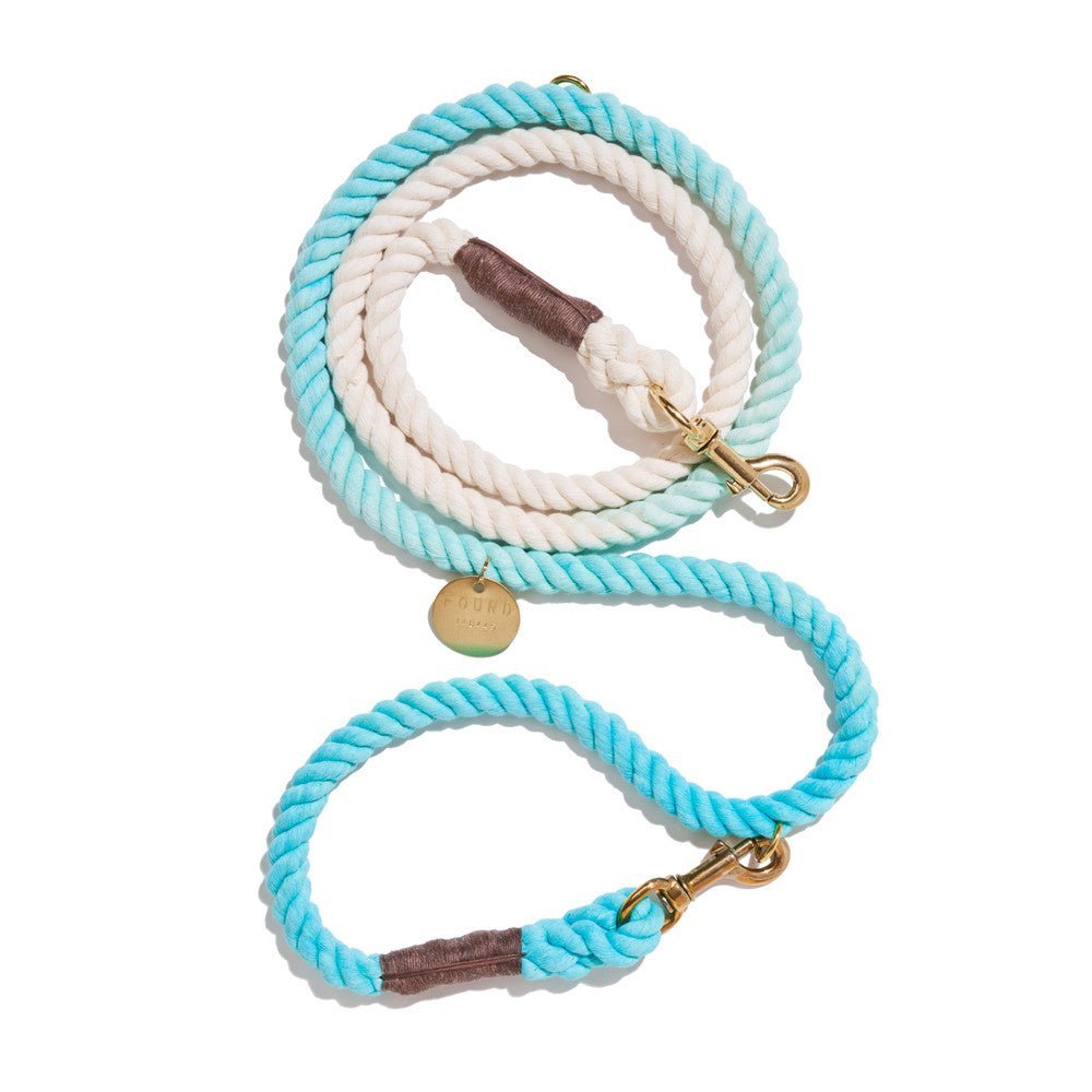 Robins Egg Blue Rope Dog Leash | Bolt Snaps, Adjustable | Found My Animal