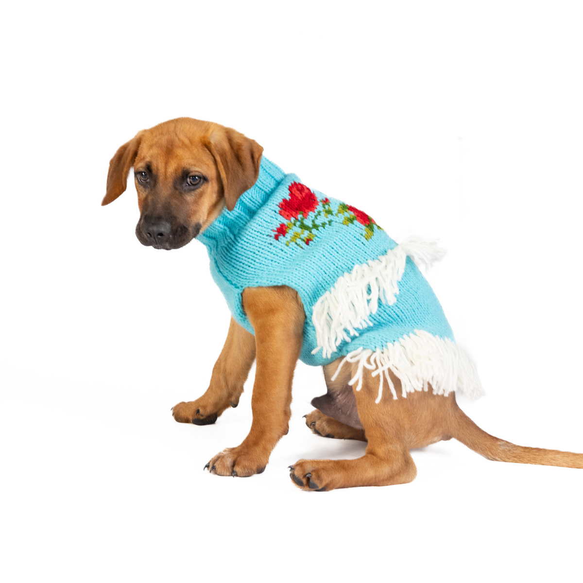 Chilly Dog Rodeo Wool Dog Sweater