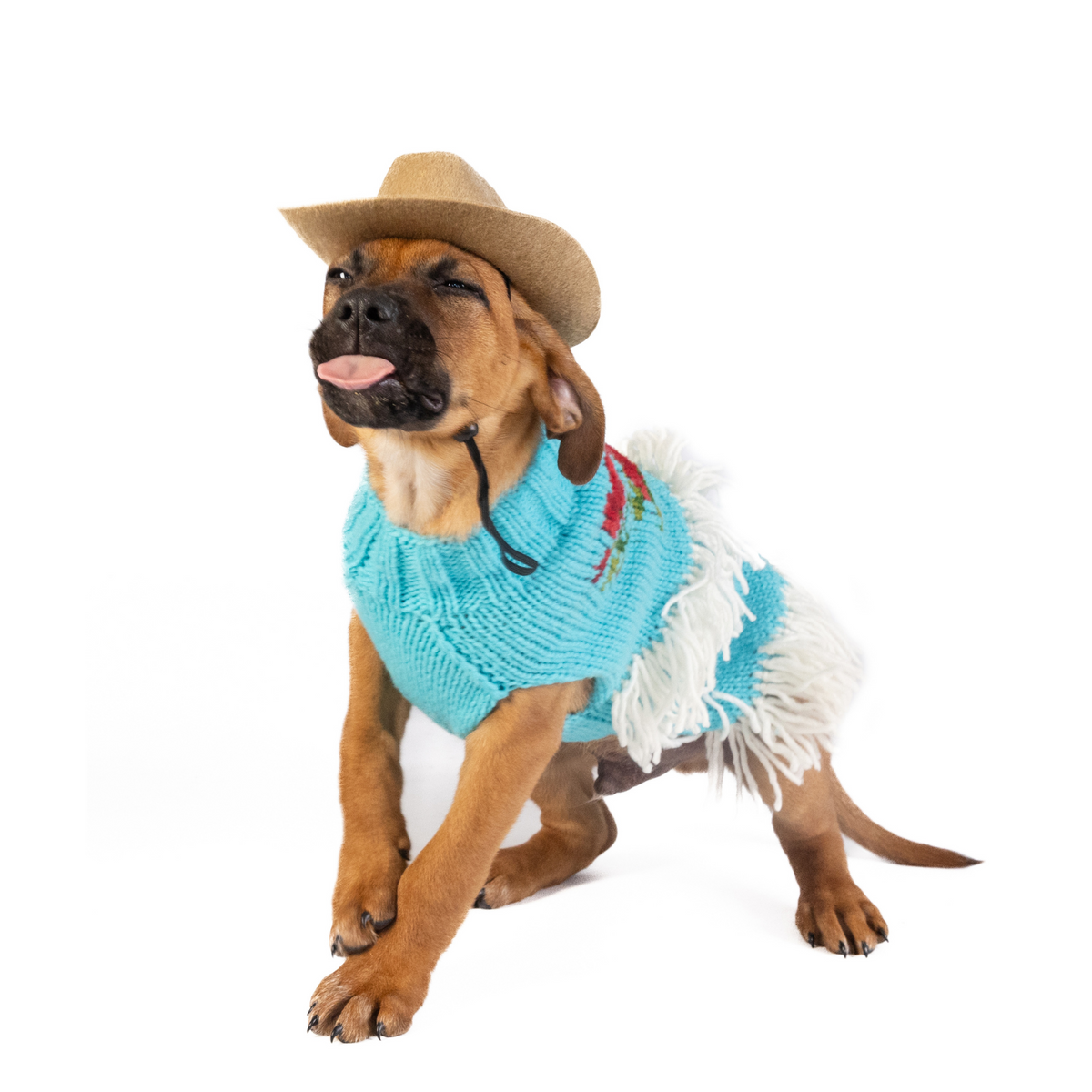 Chilly Dog Rodeo Wool Dog Sweater