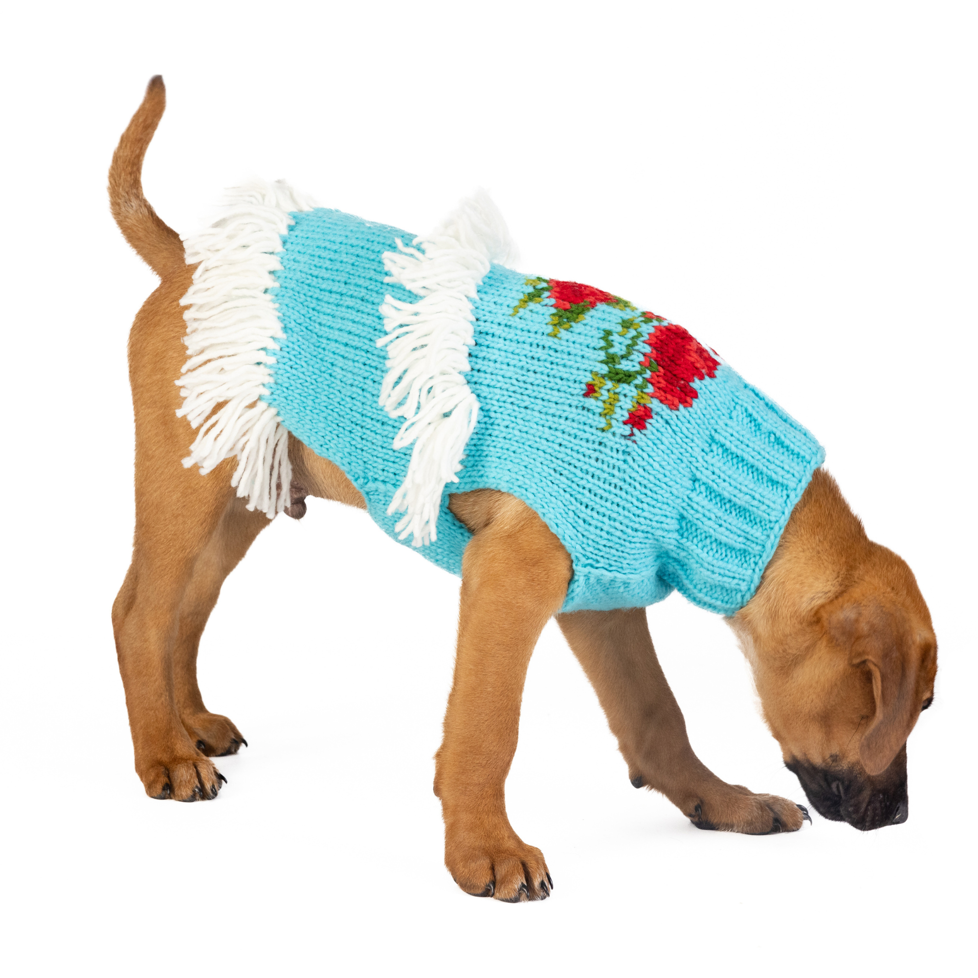 Chilly Dog Rodeo Wool Dog Sweater
