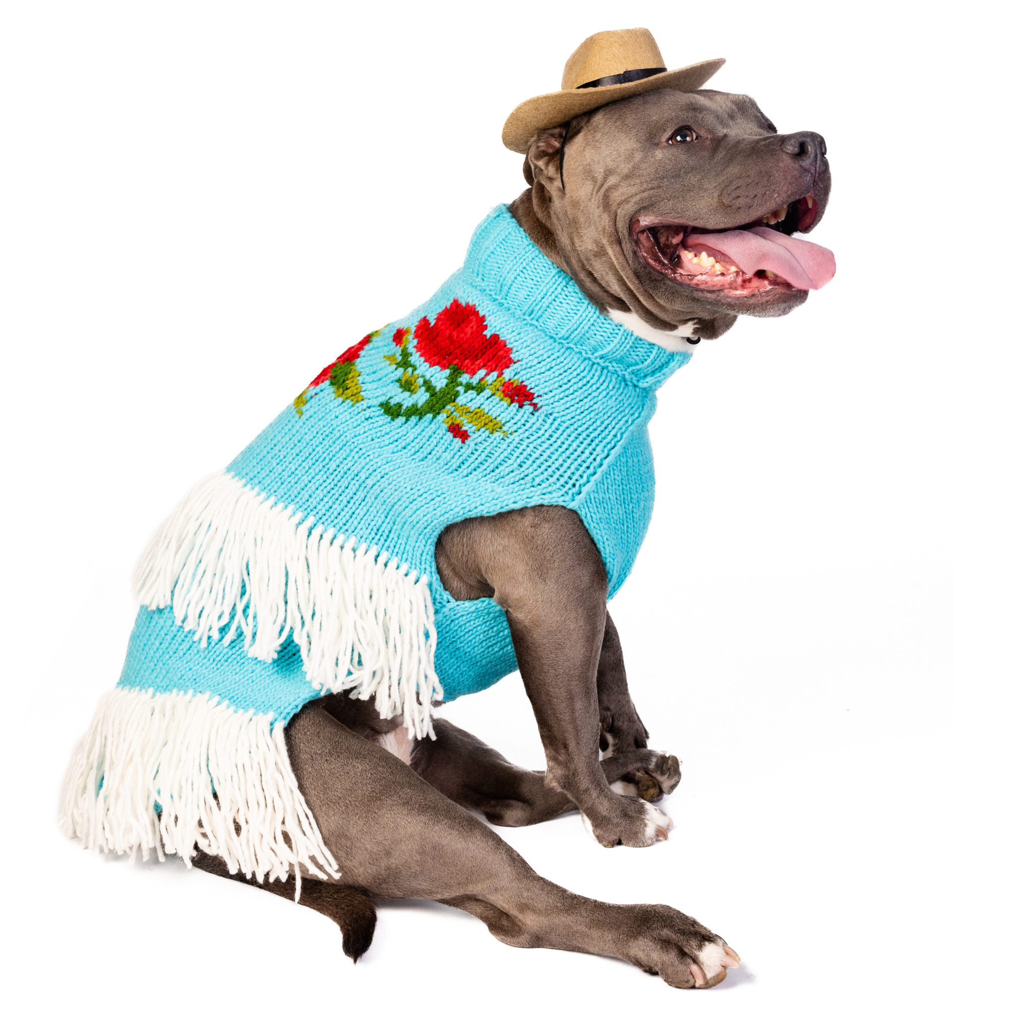Chilly Dog Rodeo Wool Dog Sweater
