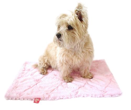 Blanket, Embroidered Roses in Pale Pink