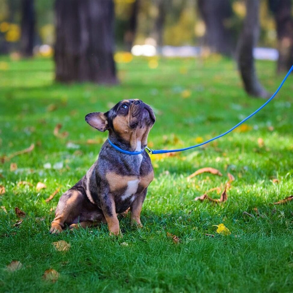 Dogline Soft Leather Round Dog Lead