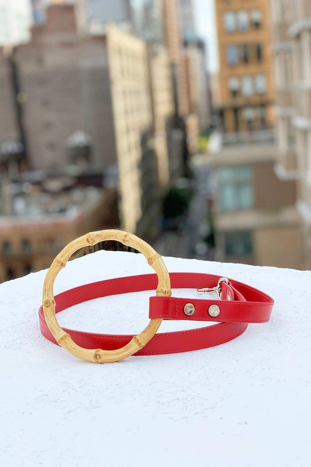 Sasha Leash - Ruby