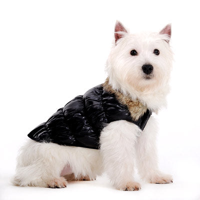 DOGO Ruched Reversible Dog Bubble Jacket