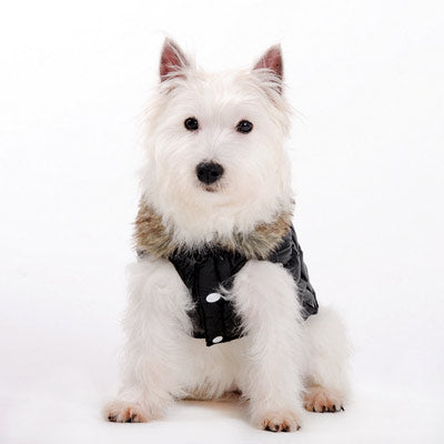 DOGO Ruched Reversible Dog Bubble Jacket