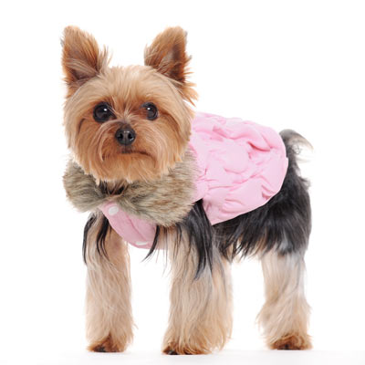 DOGO Ruched Reversible Dog Bubble Jacket
