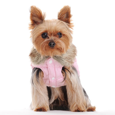 DOGO Ruched Reversible Dog Bubble Jacket