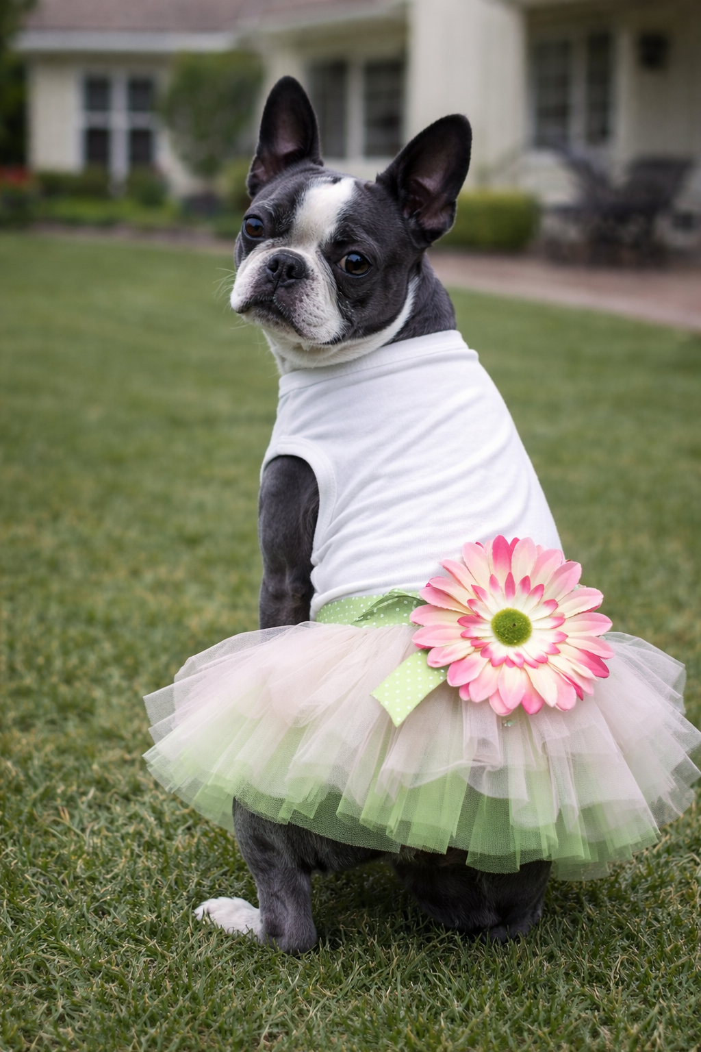 Parisian Pet Sunflower Dress-Green