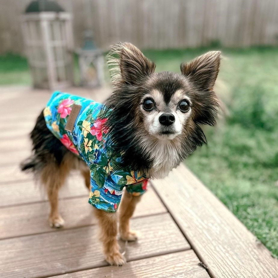 Parisian Pet Hawaiian Camp Dog & Cat Shirt  Lightweight Cotton, Stylish Vacation Pet Apparel  Blue