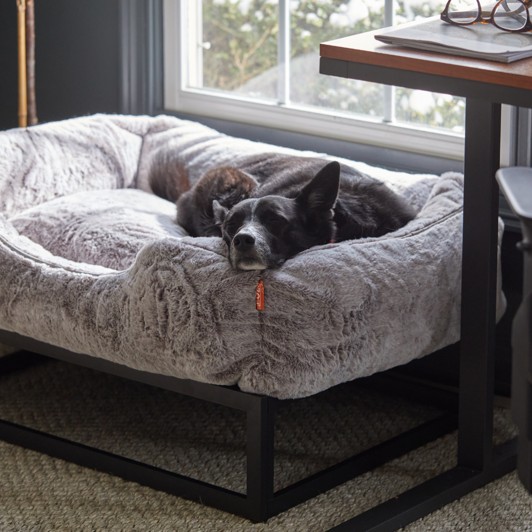 The FUZI Elevated Dog Bed